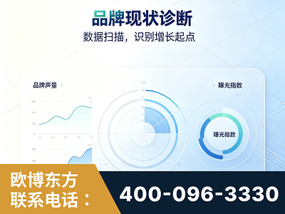 雅安-品牌现状诊断