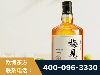 雅安-梅见青梅酒